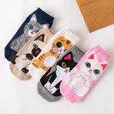 Japanese Woman Cute White Short Sock